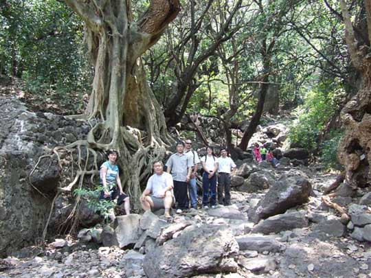 Everyone made it to the top…all 2,750 steps!