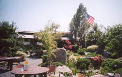 A Japanese Garden With Plants and Chair