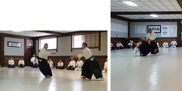 Homma Kancho demonstrating at the Keiko Soran Clinic