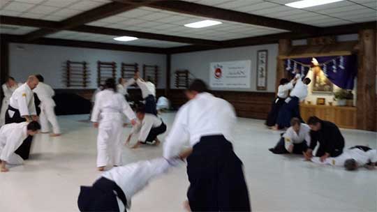 what-is-aikido